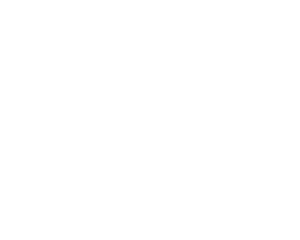 Positano Boat Tour