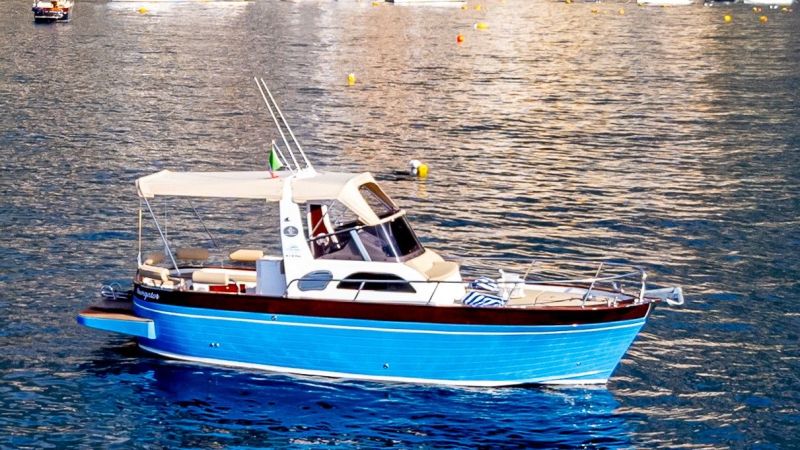 Small blue boat with canopy cruising on calm water with distant yachts and buildings in background.